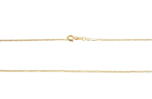Chain Necklace 18K Yellow Gold (PLTCR05Y)